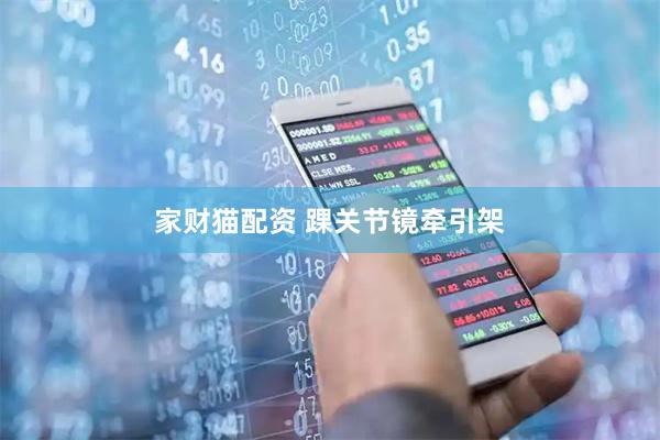 家财猫配资 踝关节镜牵引架
