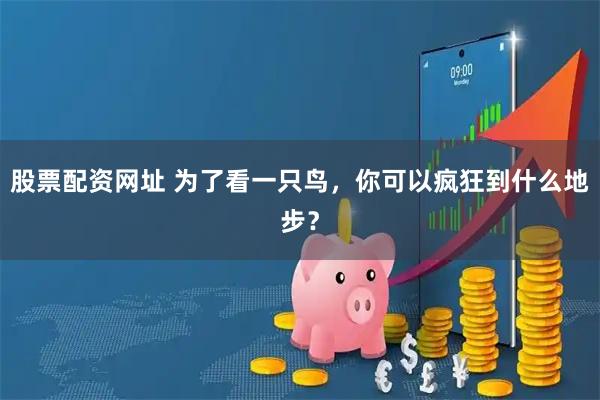股票配资网址 为了看一只鸟，你可以疯狂到什么地步？
