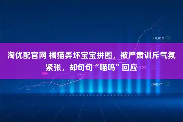 淘优配官网 橘猫弄坏宝宝拼图，被严肃训斥气氛紧张，却句句“喵呜”回应