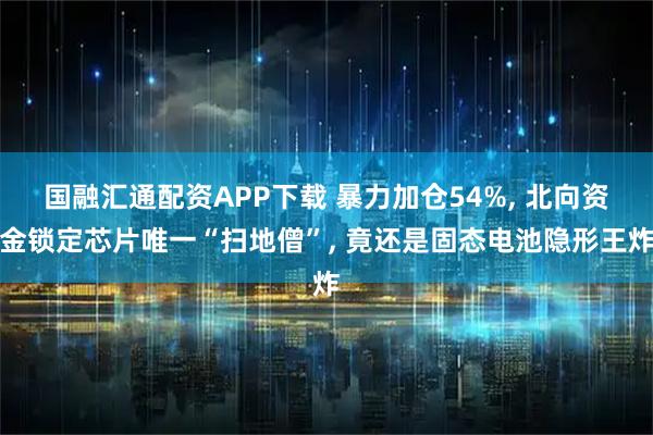 国融汇通配资APP下载 暴力加仓54%, 北向资金锁定芯片唯一“扫地僧”, 竟还是固态电池隐形王炸